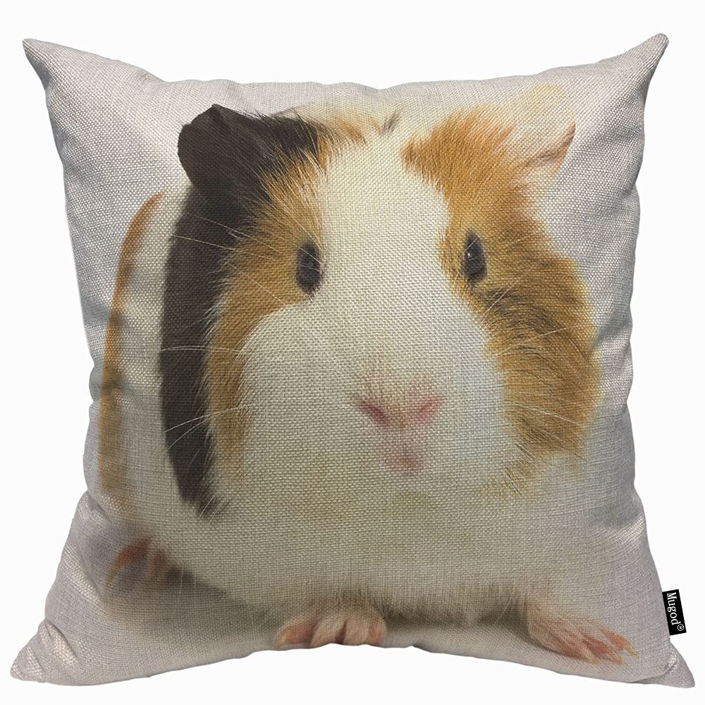 Mugod Guinea Pig Cushion Cover Throw Pillow Covers Color Staring White Background Animal Cute Lovely Adorable Pillow Case for Men Women Decorative Home Sofa Chair Couch 45x45cm/18x18 Inch