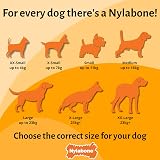 Nylabone Extreme Chewers Broccoli Chew Toy Large - Durable Dental Clean Bacon view 6