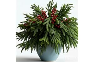 LUZOGA 6 Pcs 18" Real Touch Christmas Norfolk Pine Branches with Red Berries, Natural Droopy Soft Bendable Artificial Pine Stems Picks Lifelike Greenery Stems for Vases Wreaths Garland Christmas Decorations