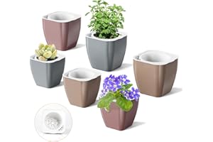 HEMOPLT Self Watering Plant Pots for Indoor Plants - Planters - Pack of 6 4" & 5" African Violet Pots - Orchid Pots - Champagne Gold - Silver - Rose Gold