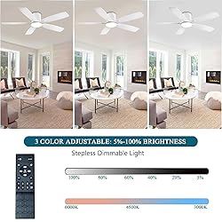 Ayaoty Ceiling Fans with Lights, 52 inch Low