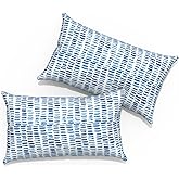 TWLEAR Outdoor Lumbar Pillows 12x20 inch, Rectangle Throw Pillows with Inserts, Decorative Lumbar Cushions for Patio Furniture Garden Couch Home Sofa Office Chair, Pack of 2, Pebble Blue