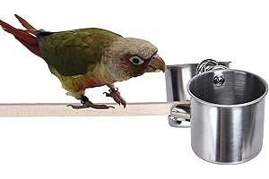 TBWHL Parrot Feeding Cups Hanging Pet Animal Stainless Steel Birdcage Bowls Bird Bowls for Cage Parakeet Bird Cage Accessories Suitable Small and Medium Bird S