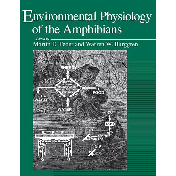 Amazon.com: Physiological Plant Ecology: Ecophysiology and Stress
