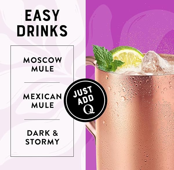 Q LIGHT GINGER BEER WITH REAL GINGER & ORGANIC AGAVE – IDEAL FOR COCKTAILS & MOCKTAILS – MADE WITH REAL INGREDIENTS, PERFECTLY CARBONATED, & LESS SWEET – 40 CALORIES PER CAN – 7.5 FL OZ (PACK OF 24)