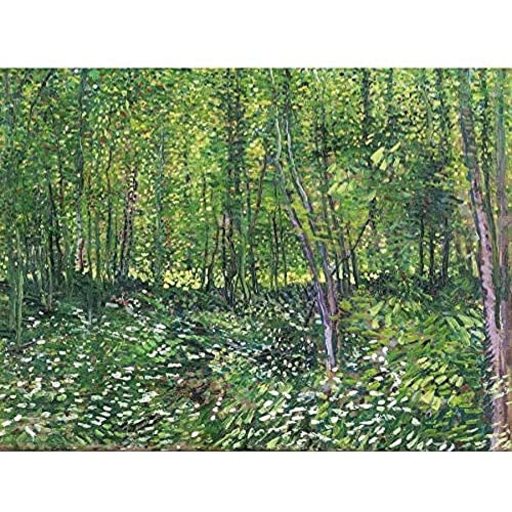 Vincent Van Gogh Trees And Undergrowth Art Print Canvas Premium Wall Decor Poster Mural