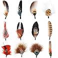 FeelfunFeather Hat Feathers, 12PCS Assorted Natural Real Feathers for DIY Western Cowboy Hats,Oktoberfest Hats,Trilby Hat,Christmas Party Hats