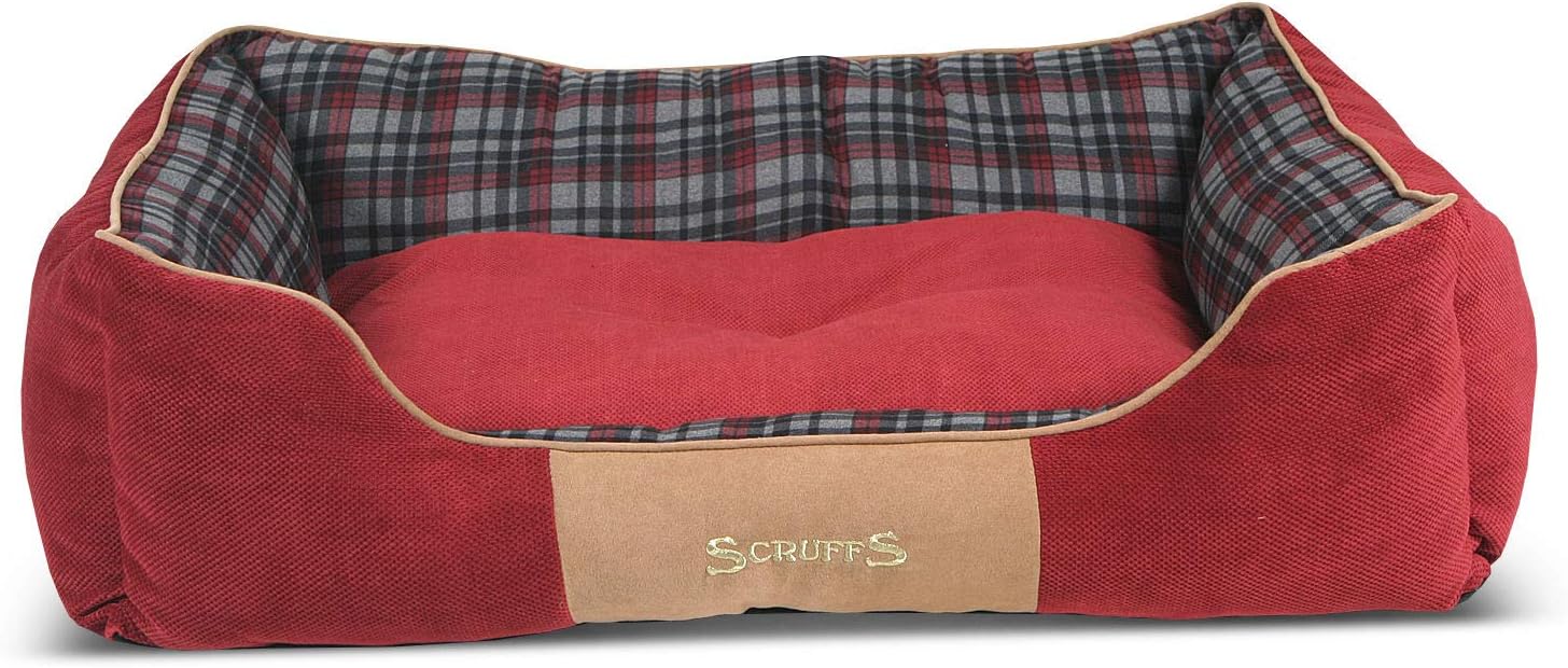 husky puppies up for adoption