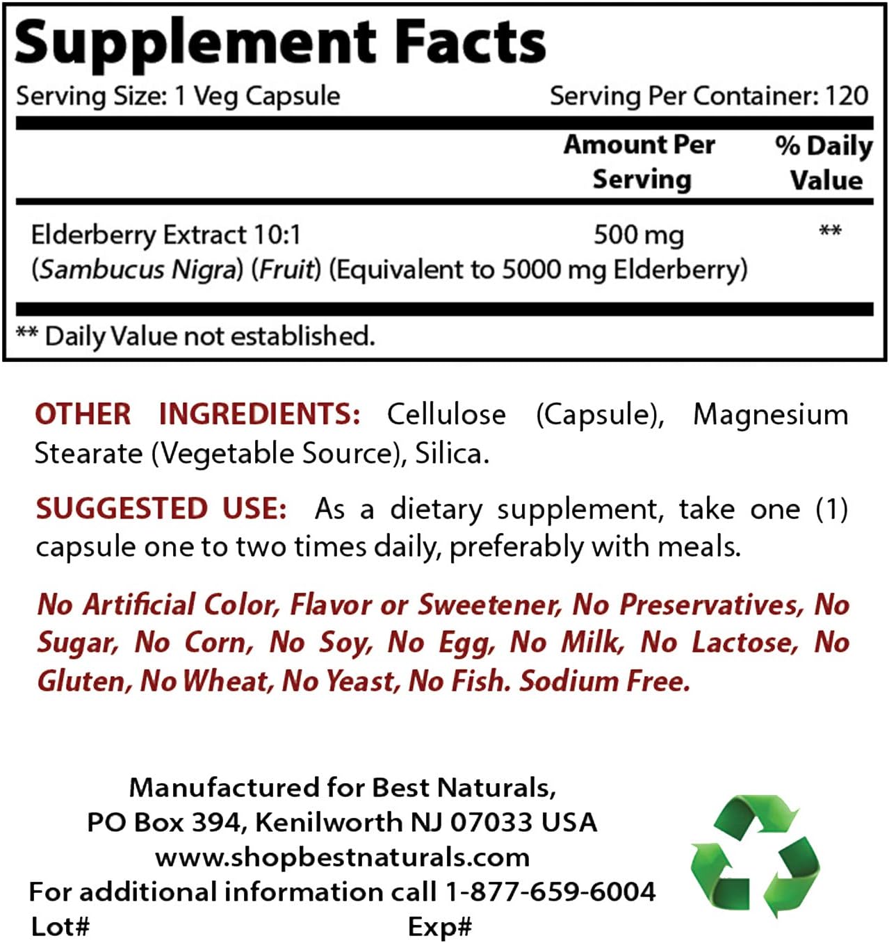 Best Naturals Elderberry Sambucus Nigra 5000mg Equivalent 120 Veg Capsules (120 Count (Pack of 1)) - Image 3