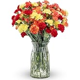 Benchmark Bouquets Mini Carnation Bouquet &ndash; Fresh Flowers for Delivery &ndash; Fall Flowers &ndash; Fresh Floral Arrangement &ndash; Gifts for Birthdays, Get Well, Just Because &ndash; Glass Vase Included