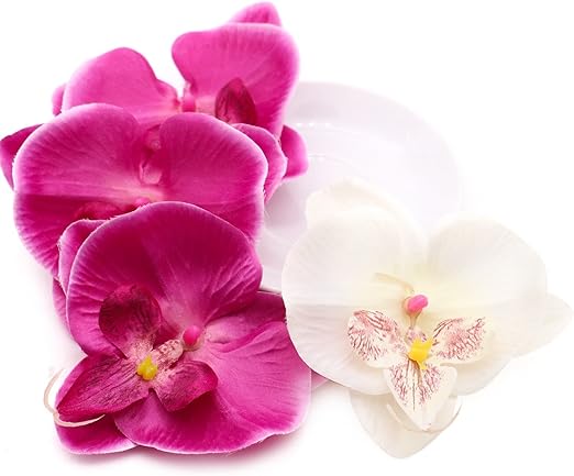 Amazon Com 20 Pcs Phalaenopsis Orchid Silk Flower Heads 4 Inch