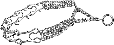 martingale pinch dog collar