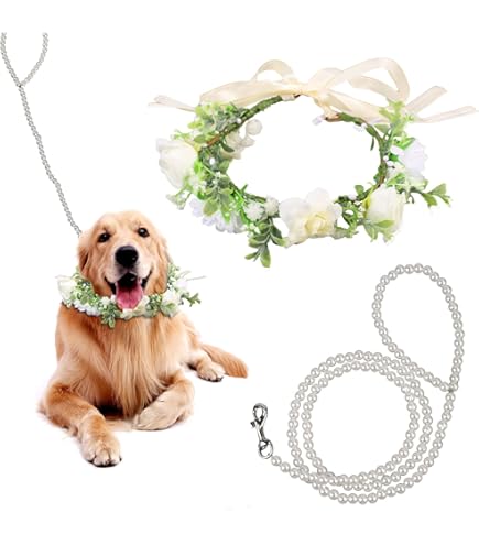Female Dog Wedding Set 2-Piece Dog Wedding Collar Set - Floral Collar & Pearl Leash For Medium Dogs, Perfect For Photos & Special Occasions Dog Bow Tie