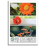 Mexican Sunflower Seeds