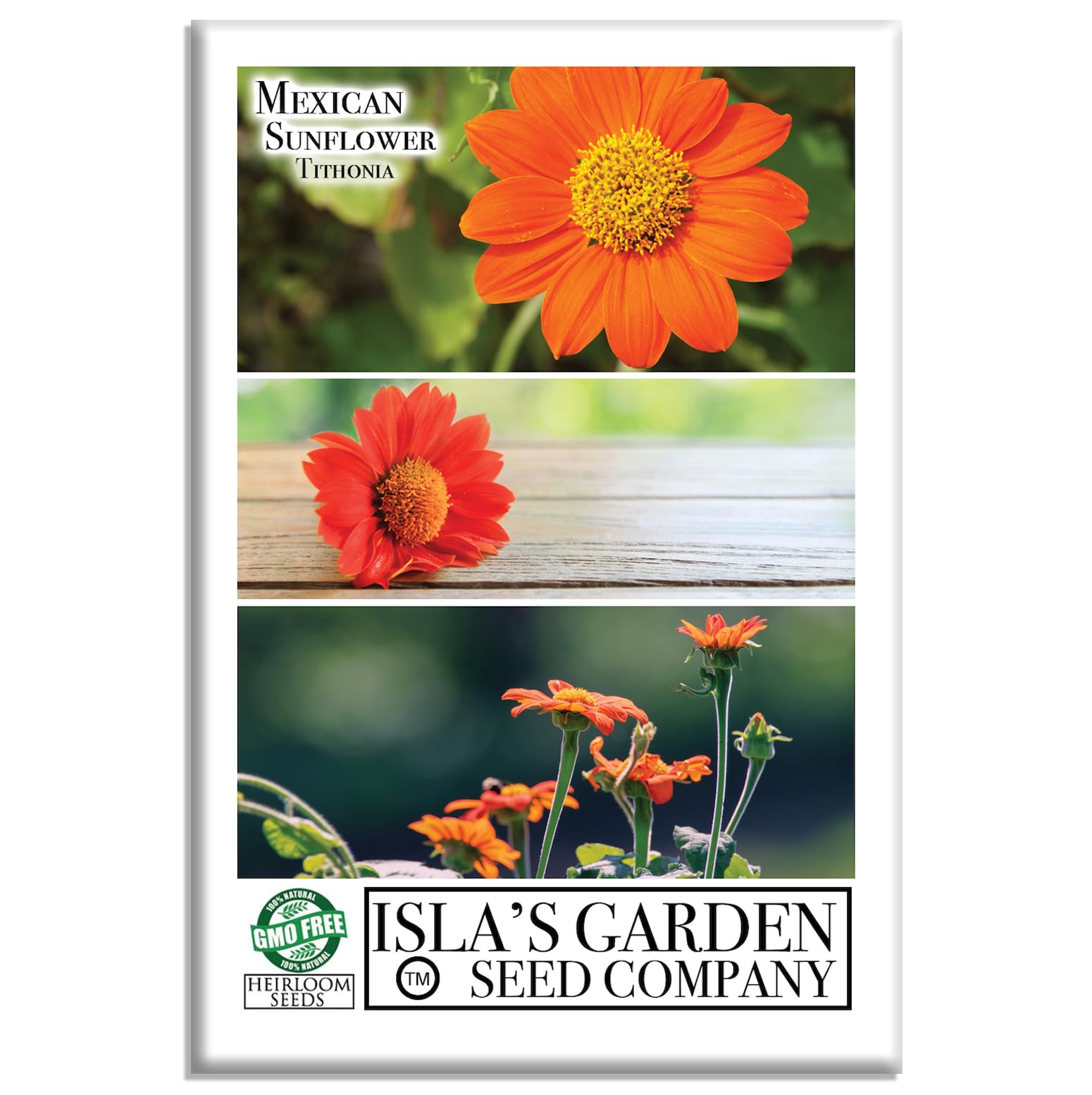 Mexican Sunflower Seeds