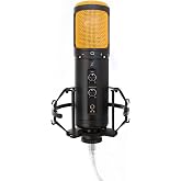Editors Keys USB SL600 Microphone for Professional Studio Quality Audio for Sound Recording, Includes Shock Mount, Cable &amp; Padded Storage Case