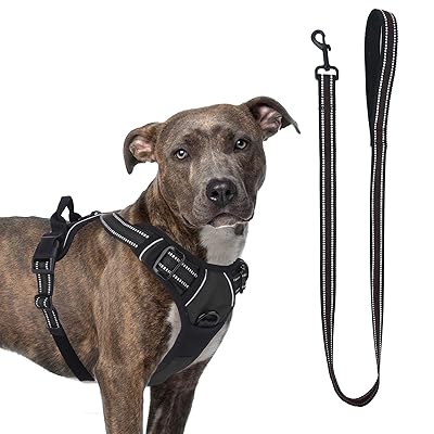 Matching dog harness and leash Clearance