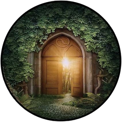 Amazon 印刷ラウンドラグ ファンタジー家装飾 Mythical Legendary Phoenix Rebirth Long優れた新しい生活をashes太陽から画像のドア床マットノンスリップソフト玄関マットラグエリアラグ椅子リビングroo Round 51in 130cm Tjdd 929 Round 51in 130cm Iprint