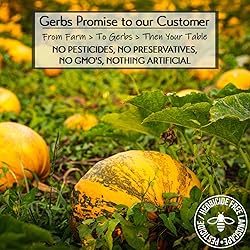 Jumbo Raw Pumpkin Seeds in Shell by Gerbs - 4 LBS