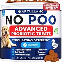 How to Stop Dog Eating Cat Poop in the Garden: Proven Tips