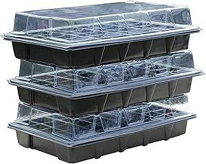 Greenhouse with Transparent Lid for Growing 3Pcs Seedlings, The Plastic Garden Tray, Small Greenhouse, A Moisturizing Incubator, for Interior/balcony (Color : Clear, Size : 54x28x24cm)Product No.:WW-