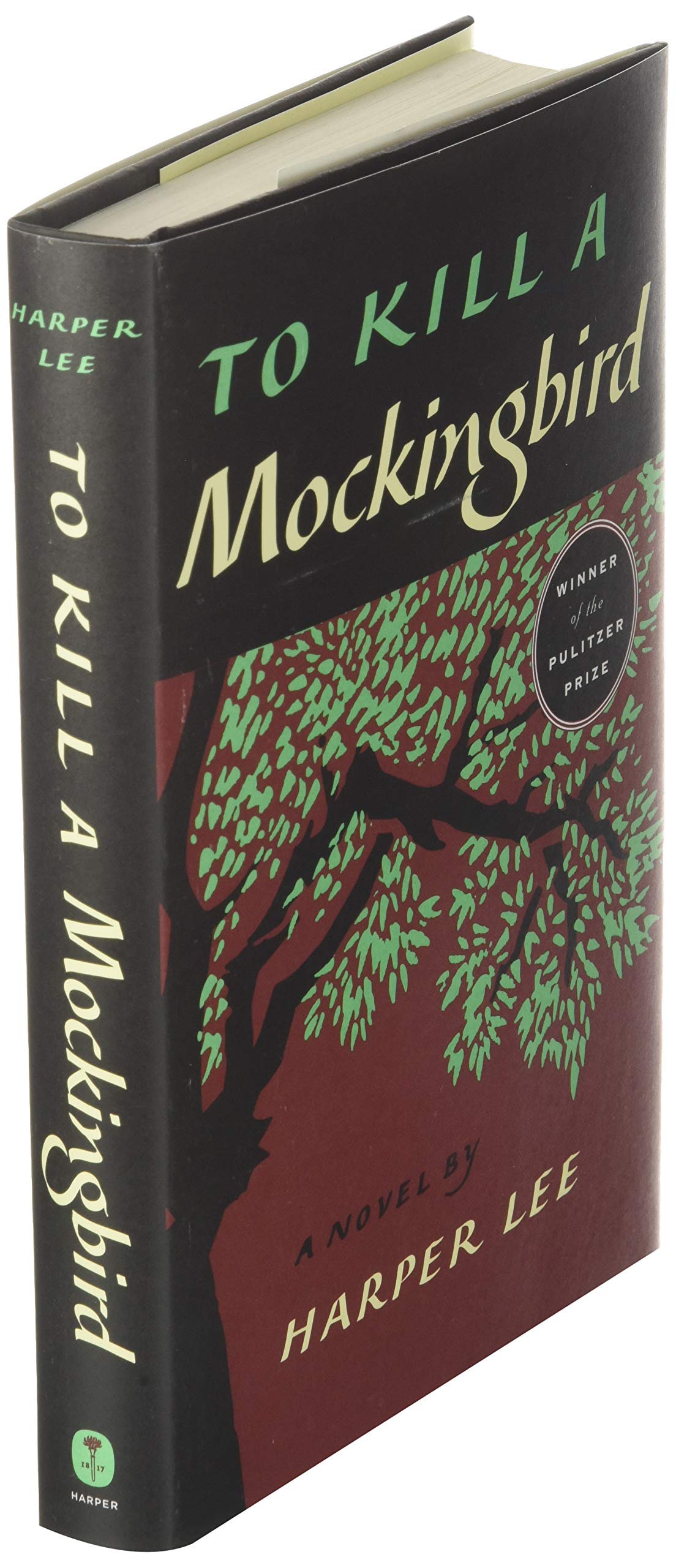 Amazon To Kill A Mockingbird Lee Harper Coming Of Age