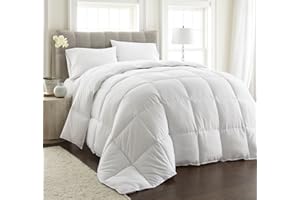 Chezmoi Collection White Queen Comforter Duvet Insert - All Season Comforter Queen Size, Heavyweight Quilted for Winter Warm Fluffy Bed Comforter with Corner Tabs