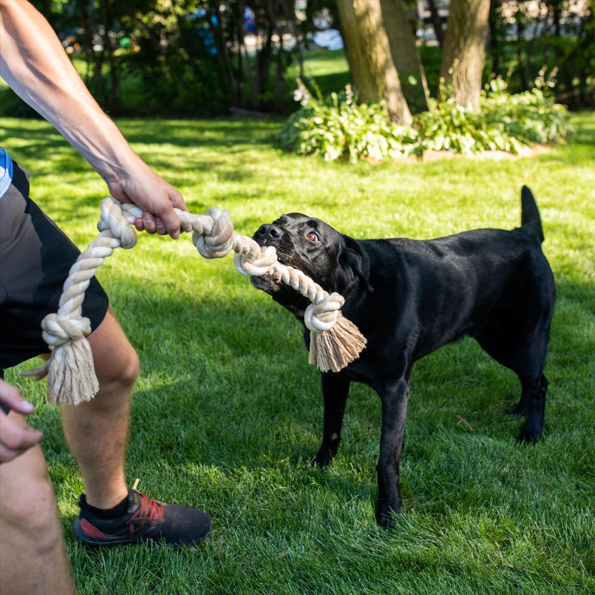 Fida Hundespielzeug aus Seil für aggressive Kauer, interaktives, robustes Hundespielzeug für mittelgroße und große Hunde, robustes gedrehtes Seilspielzeug mit 5 Knoten 5