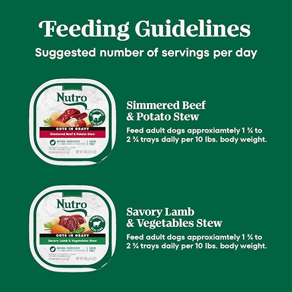 NUTRO NATURAL CHOICE CUTS IN GRAVY WET DOG FOOD, GRAIN FREE DOG FOOD WET LAMB AND BEEF RECIPES VARIETY PACK, 3.5 OZ. TRAYS (12 COUNT, PACK OF 1)