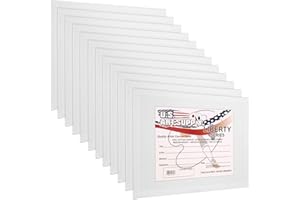U.S. ART SUPPLY US Art Supply 11 X 14 inch Professional Artist Quality Acid Free Canvas Panels 12-Pack (1 Full Case of 12 Single Canvas Panels)