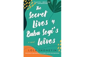 The Secret Lives of Baba Segi's Wives: A Novel