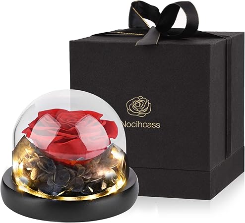 Eternal Rose - Rosa preservada hecha a mano, caja de regalo de rosa en una cúpula de