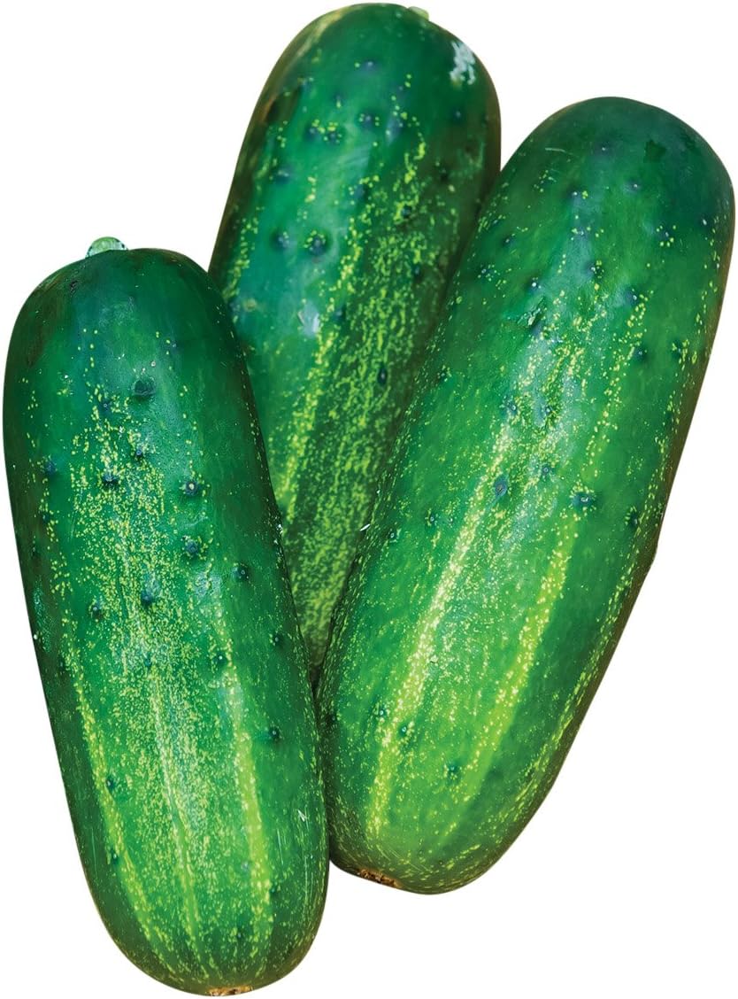 Burpee Supremo Pickling Cucumber Seeds 30 seeds