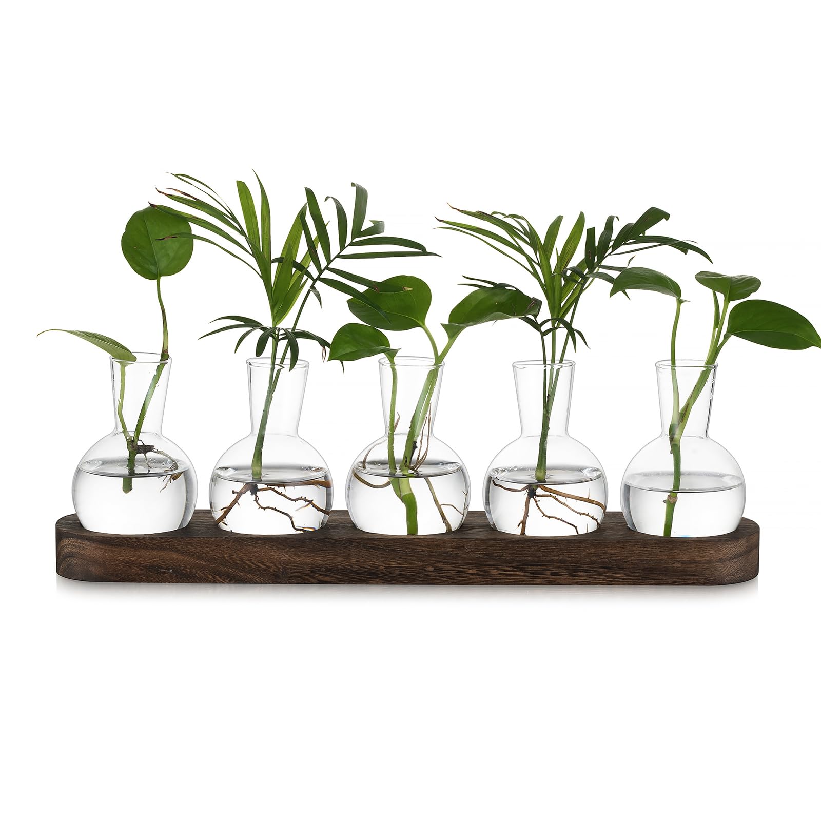 Hewory Propagation Station Propagators for Plants: Desktop Glass Terrarium Bulb Vase Gifts for Plant Lovers - Small Glass Vase Terrarium Jar With Wood Tray for Houseplants Cuttings Windowsill, 5pcs