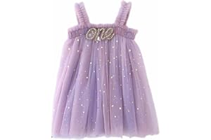 Lavender Rainbow One Birthday Dress for Baby Girl – 1st Birthday Outfit with Gold Star Tulle – Cake Smash Dress