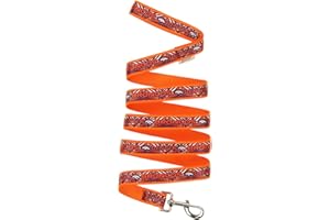 Zubaz NFL Team Pet Leash for Dogs & Cats, Denver Broncos, Large