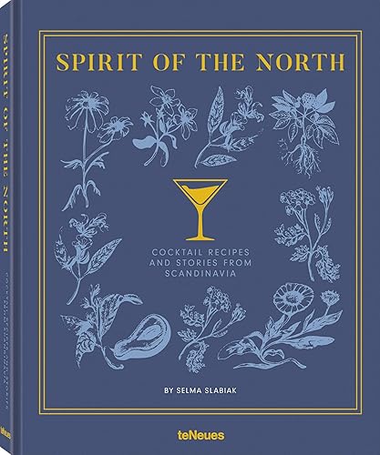 Download Spirit of the north PDF