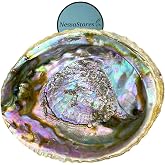 NessaStores 10 Abalone Shells Large 6-7 Inches | Beautiful All Natural Smudge Bowl - Perfect for Smudge Sticks, Incense Sticks and a Sage Smudge Kit. JC-018