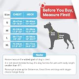 Belababy Dog Harness Adjustable No Pull Front Back Clip Reflective Blue XL view 2