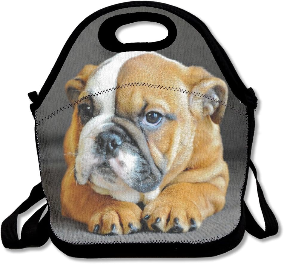 bulldog lunch bag