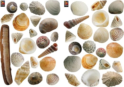 Plage Wohnaccessoires & Deko, Bunt: Amazon.de: Küche & Haushalt