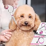 Gimars Dog Grooming Scissors Kit 4CR Safety Round Tip 5 in 1 Titanium Coated view 6