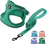 BELLA & PAL Dog Harness and Leash Set Step In Breathable Mesh Green S