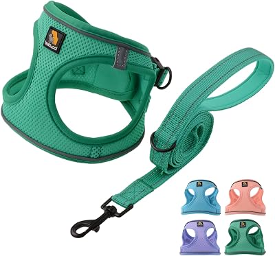 BELLA & PAL Dog Harness and Leash Set Step In Breathable Mesh Green S