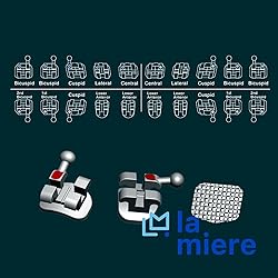 20PCS Orthodontic Mini Roth Brackets Roth 0.018