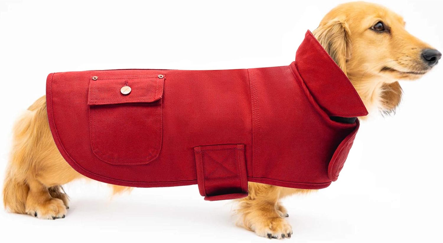 dachshund snowsuit