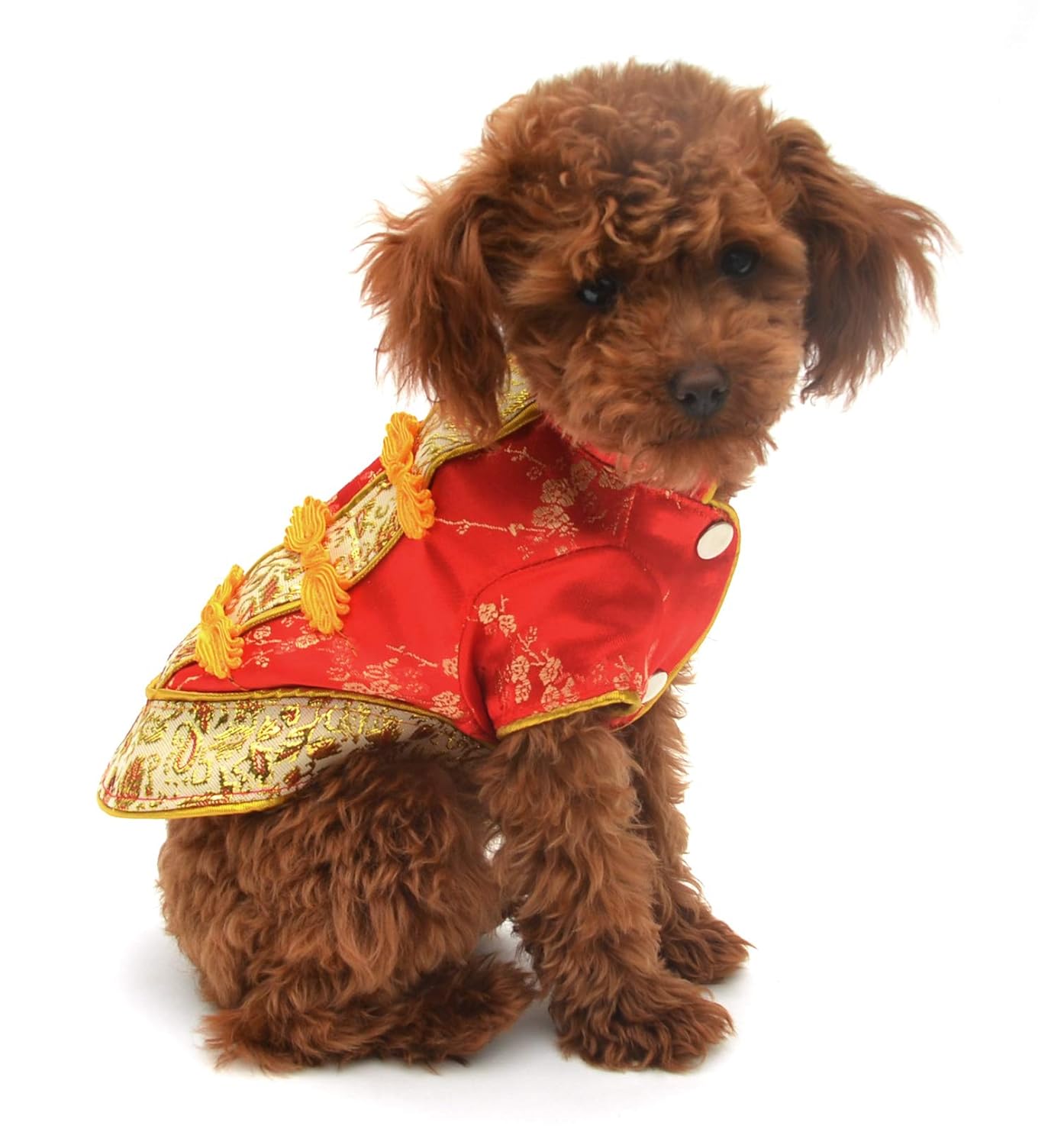 dog qipao