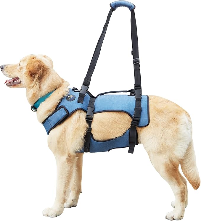 Coodeo Dog Lift Harness, Support & Recovery Sling, Pet Rehabilitation
