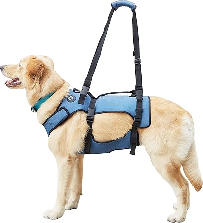 Coodeo Dog Lift Harness Support Recovery Sling Pet Rehabilitation Lifts Vest Adjustable Breathable Straps For Old Disabled Joint Injuries Arthritis Paralysis Dogs Walk Medium Kitchen Dining Amazon Com