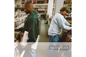 Endtroducing (20Th Anniversary Endtrospective Edition)